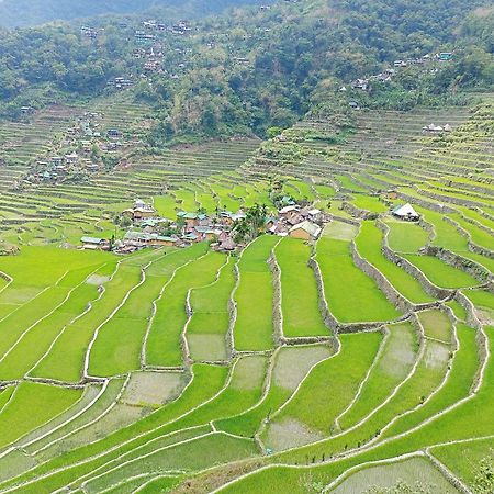 Banaue Transient House Bed And Breakfast Екстериор снимка