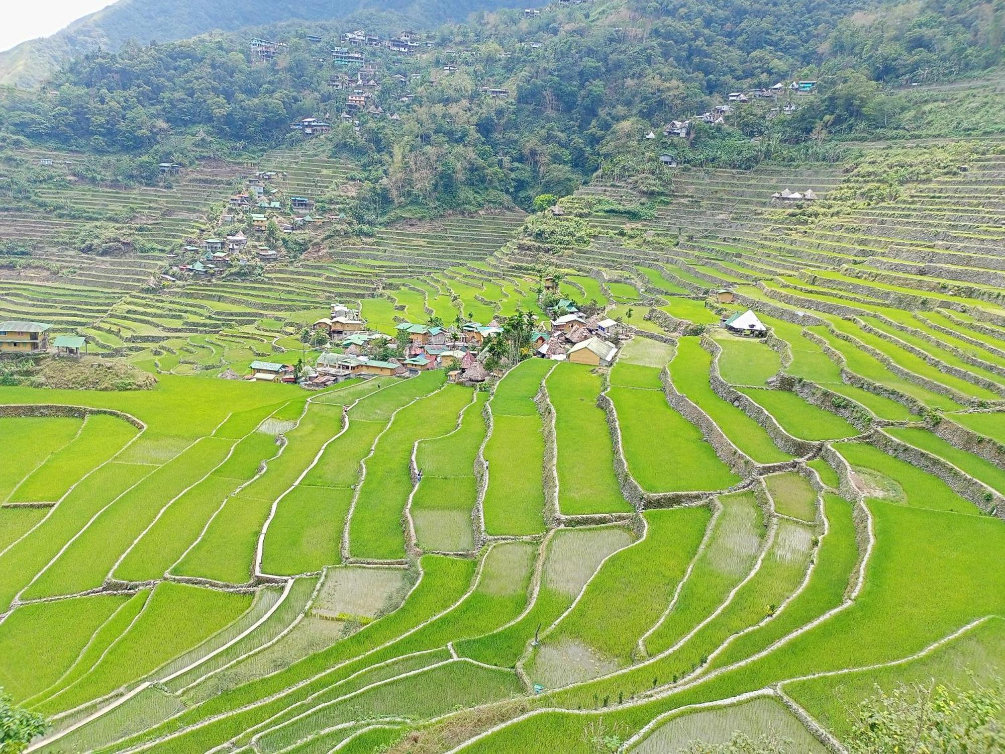 Banaue Transient House Bed And Breakfast Екстериор снимка